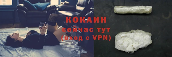 винт Кемь