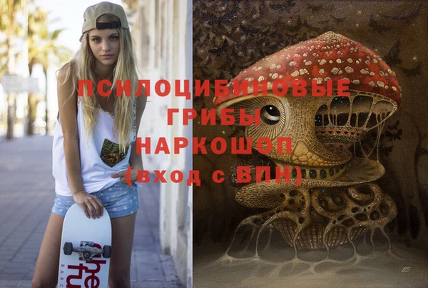 тгк Кизел