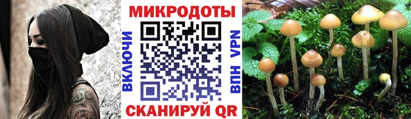 Галлюциногенные грибы мухоморы Макаров